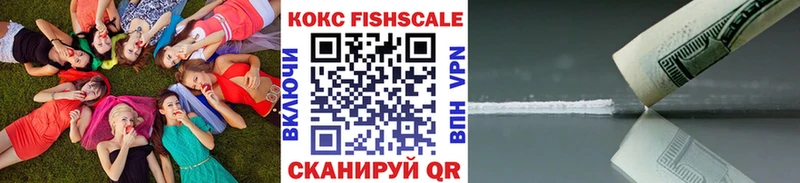 купить наркотики сайты  Полевской  Cocaine Эквадор 