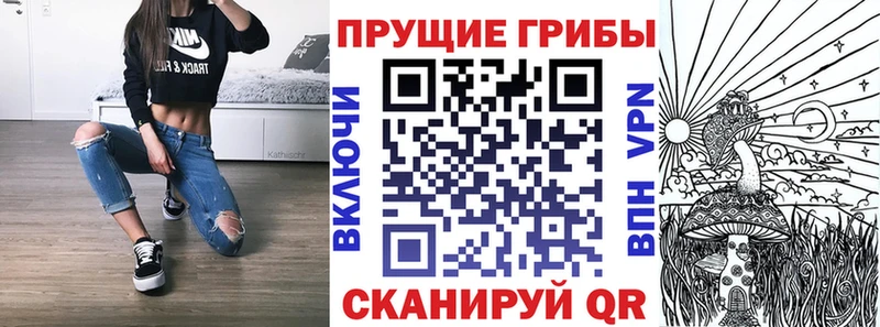 Псилоцибиновые грибы GOLDEN TEACHER  Полевской 