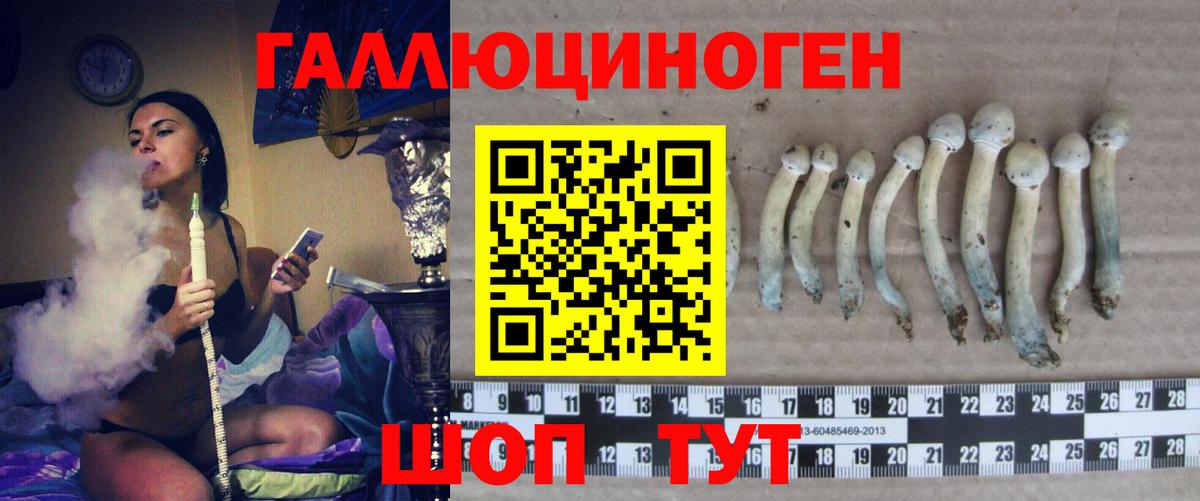 Галлюциногенные грибы мицелий  Вход с VPN  Полевской 